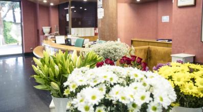 Floristería